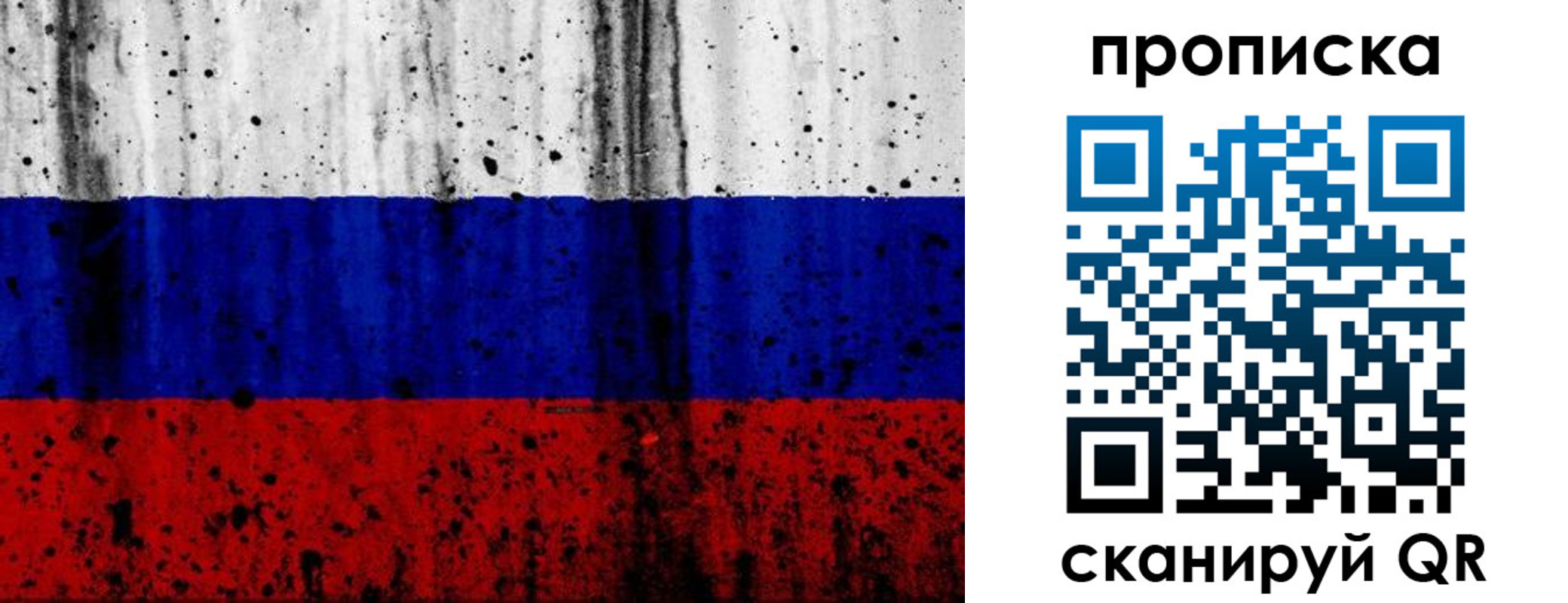прописка поиск в Новгородской области